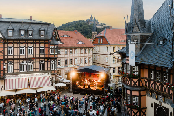 neu_rathausfest_wtg_polyluchs-3