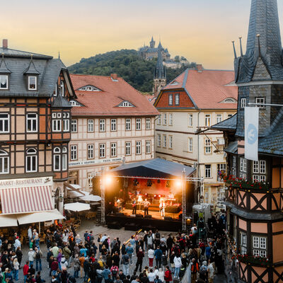 neu_rathausfest_wtg_polyluchs-3