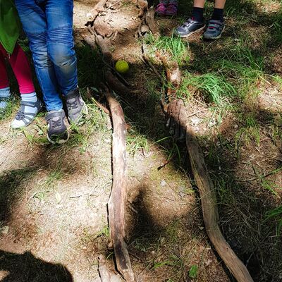 Bild vergr&ouml;&szlig;ern: Kita_Hummelhaus_Spiele im Wald