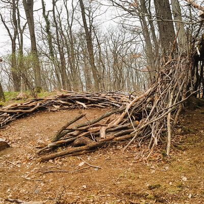 Bild vergr&ouml;&szlig;ern: Kita_Hummelhaus_Waldplatz Waldsofa
