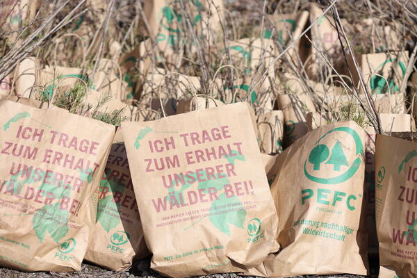 ZB-Regio Neuer Wald gepflanzt